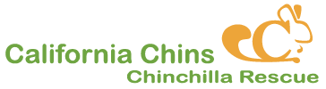 Chinchilla Rescue